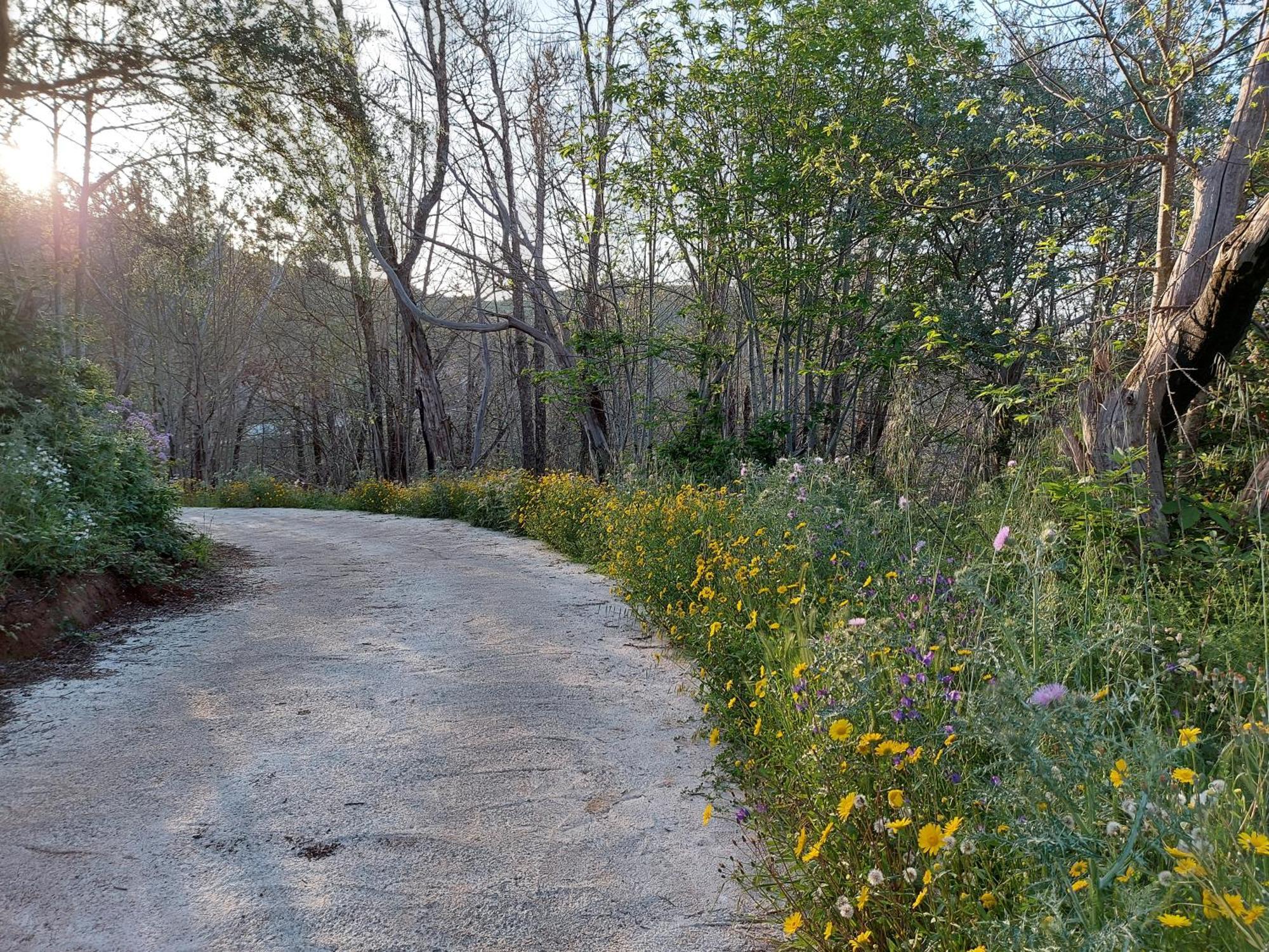 Finca Naturacanaria Moya  Bagian luar foto