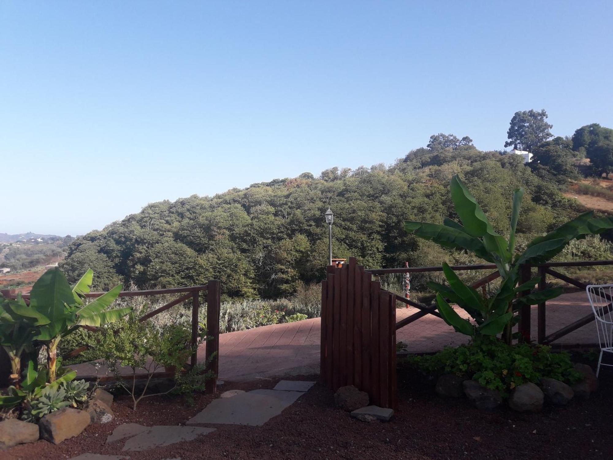 Finca Naturacanaria Moya  Bagian luar foto