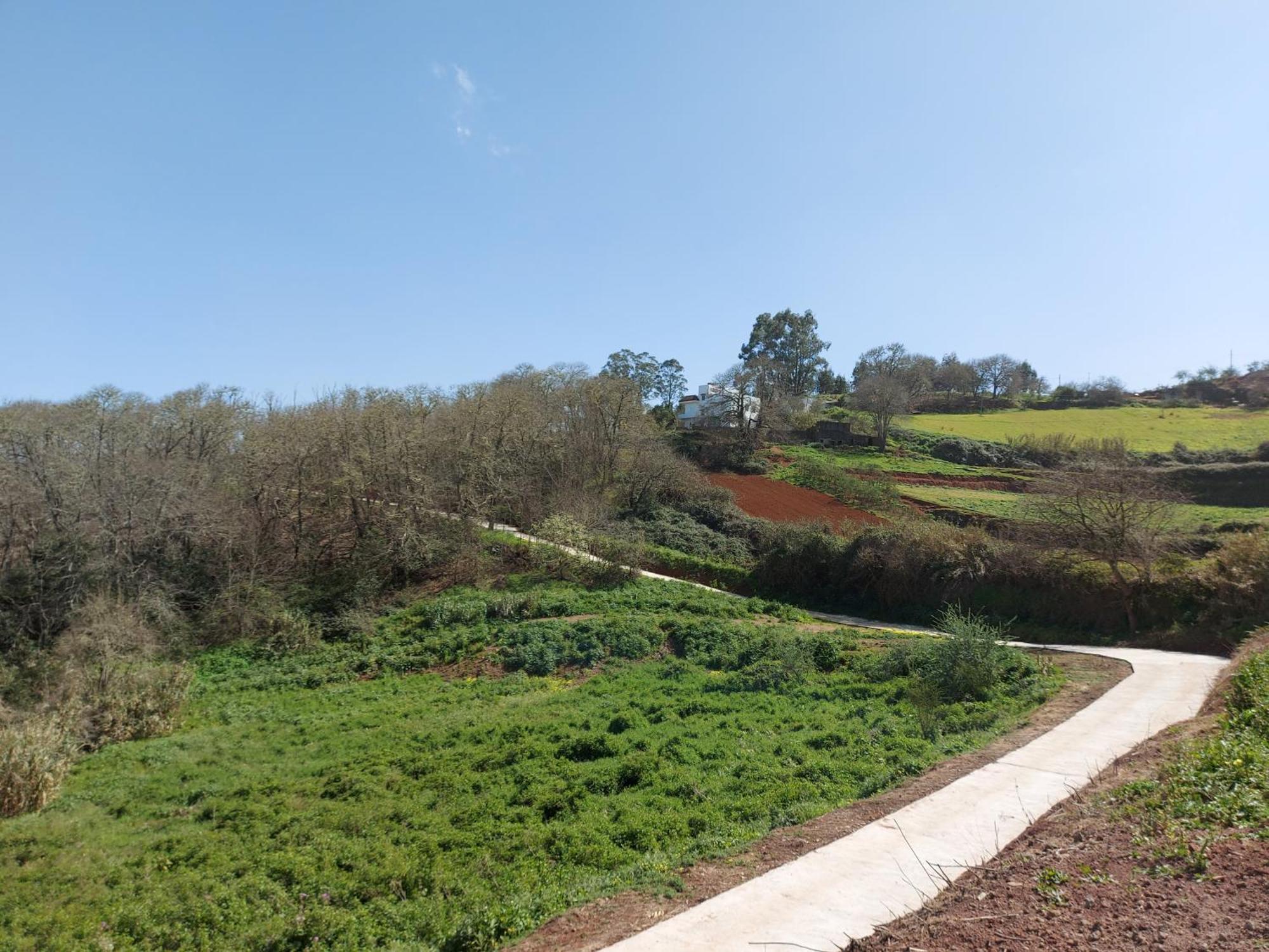 Finca Naturacanaria Moya  Bagian luar foto
