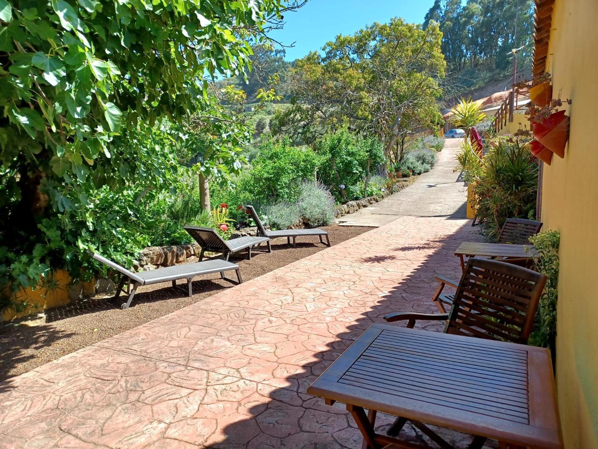 Finca Naturacanaria Moya  Bagian luar foto