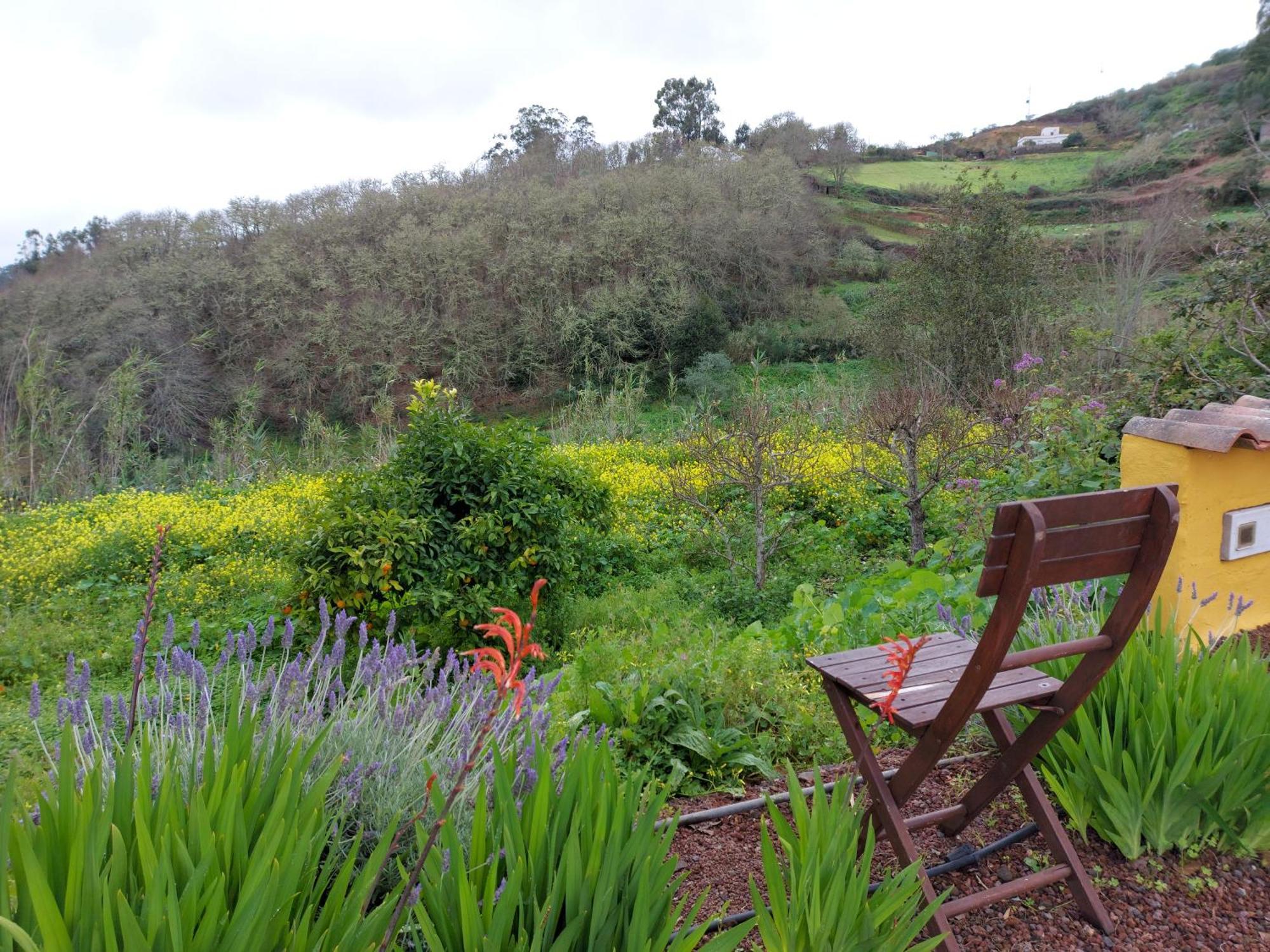 Finca Naturacanaria Moya  Bagian luar foto