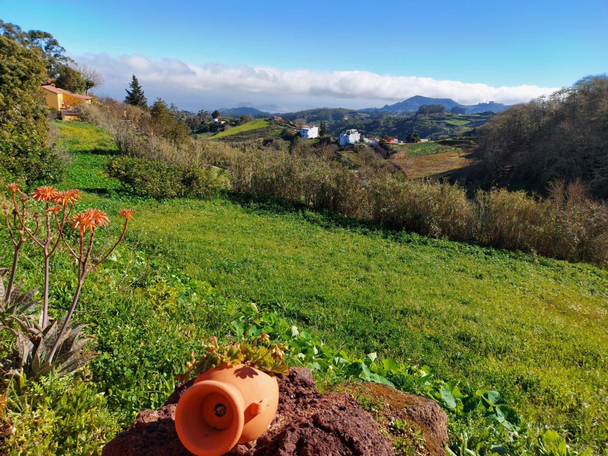 Finca Naturacanaria Moya  Bagian luar foto