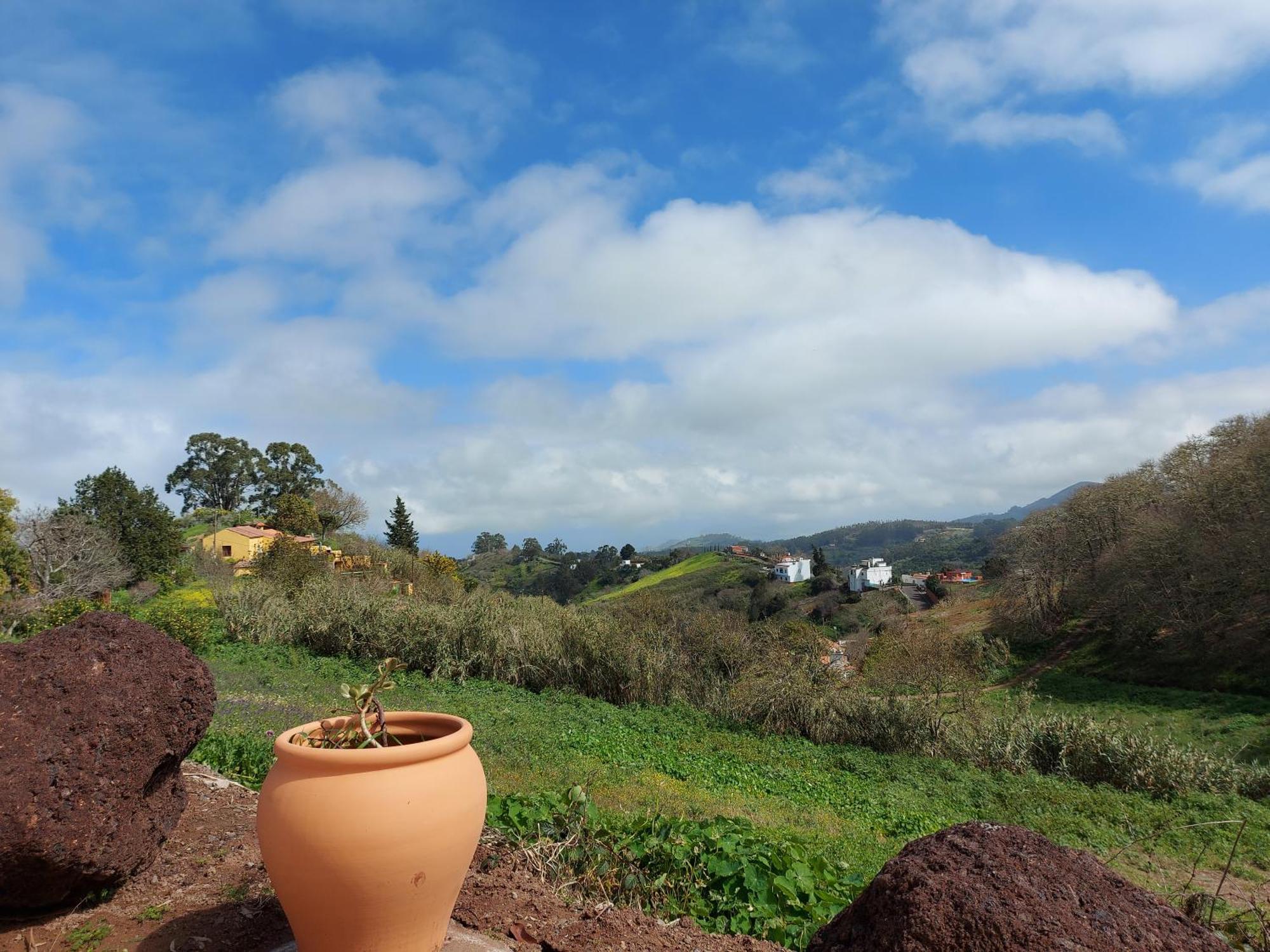 Finca Naturacanaria Moya  Bagian luar foto