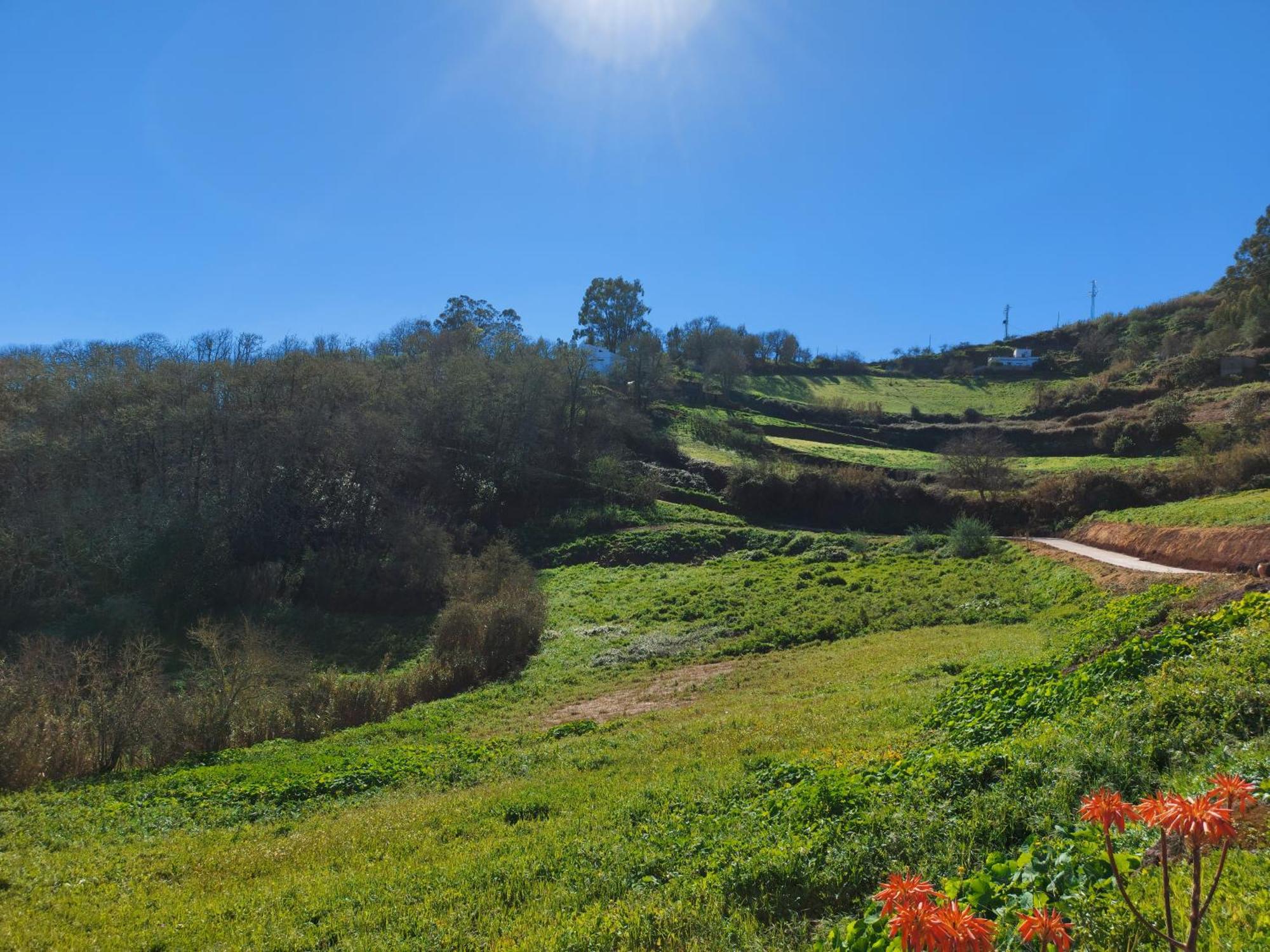 Finca Naturacanaria Moya  Bagian luar foto