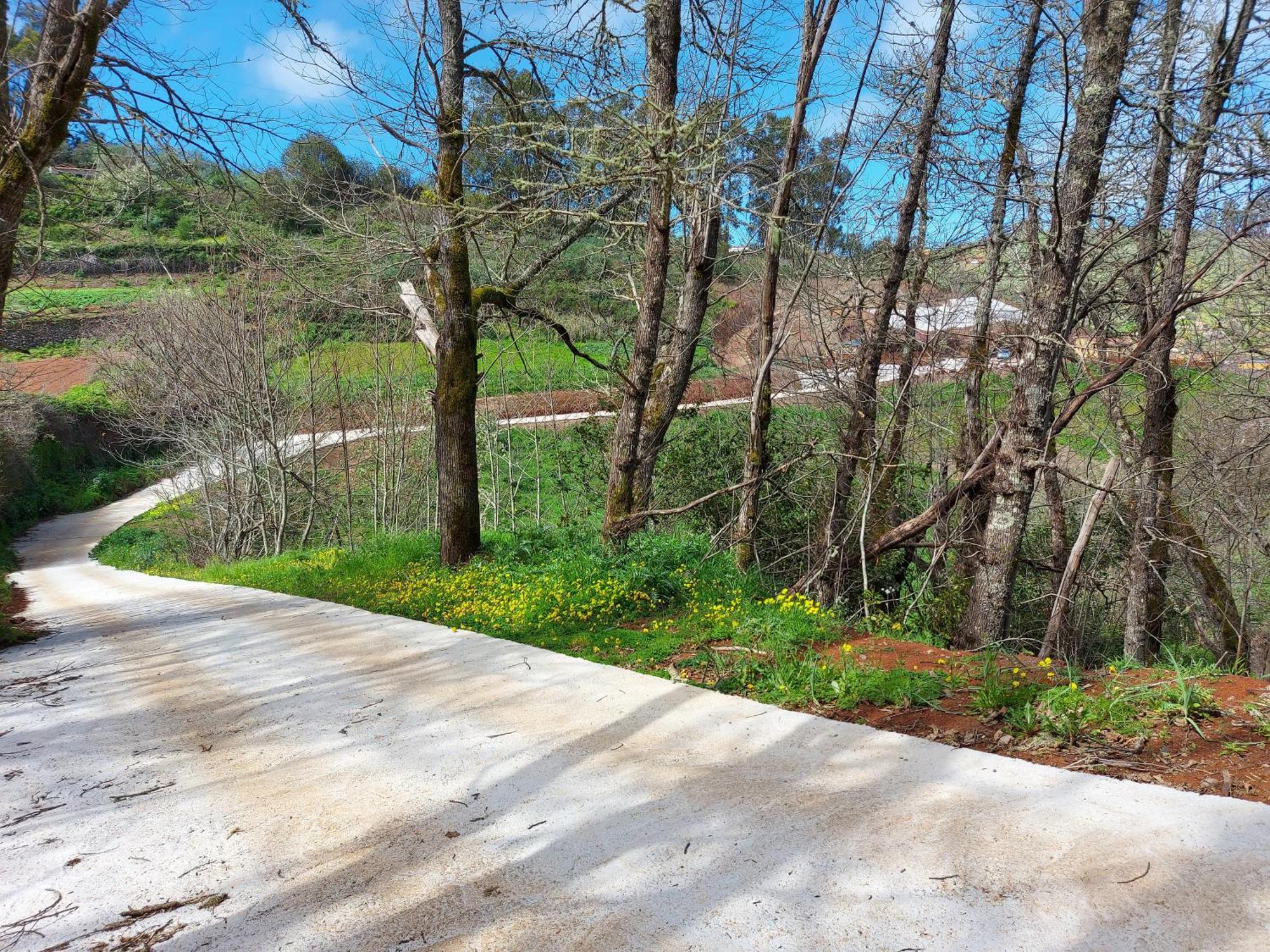 Finca Naturacanaria Moya  Bagian luar foto