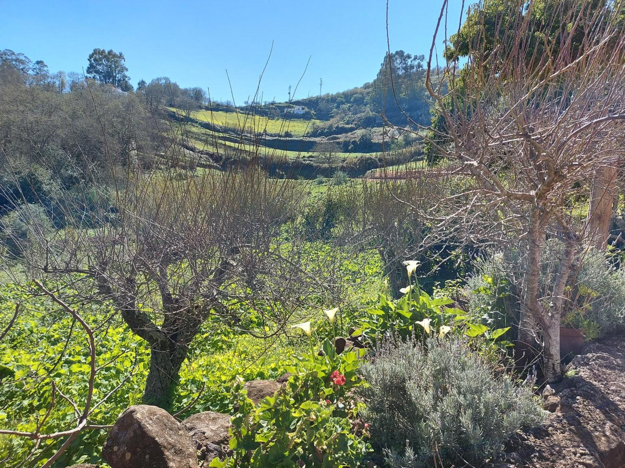 Finca Naturacanaria Moya  Bagian luar foto